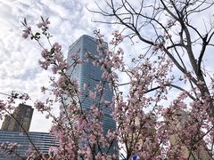 -武汉光谷K11