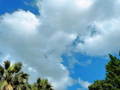 -苏州河梦清园环保主题公园