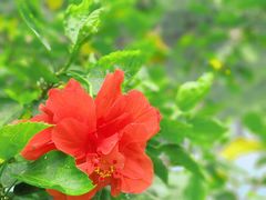-荔枝公园(福田区)