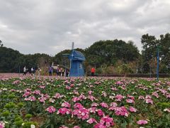 -广州市流溪河国家森林公园