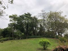 -深圳湾公园(南山区)