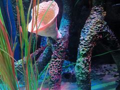 -沈阳海洋探索中心