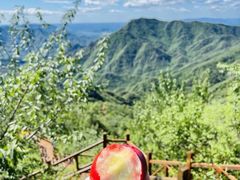 -大岭沟猕猴桃谷风景区