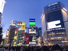 -涩谷区