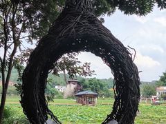 -红山村