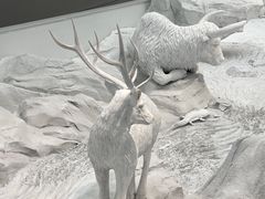 -中国湿地博物馆