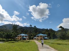 -海南热带雨林国家公园吊罗山景区