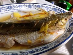 清蒸白水鱼-洞天食府(北大街店)