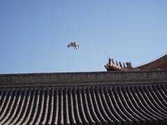 -希籽咖啡(大召店/清真)