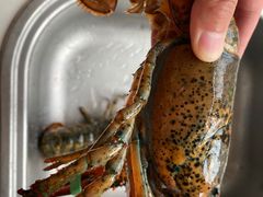 -老东镇啤酒屋海鲜加工·蒸汽海鲜·海鲜烧烤(台东店)