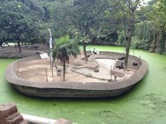 iphone_upload_pic-荆州中山公园动物园