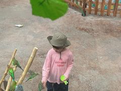 -杭州开元森泊度假乐园