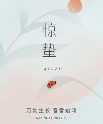 -雅曼妮spa美容养生