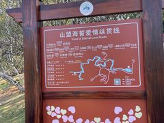 -九曲溪
