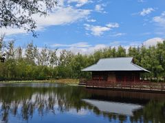 -微山湖红荷湿地景区
