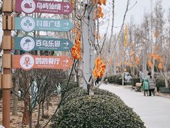 -南宫五洲植物乐园