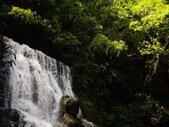 -藏龙百瀑风景区