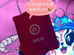 -海底捞大排档火锅(悦荟广场店)