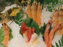 -Mr.Fish鱼鲜生海鲜放题(高德置地冬广场店)