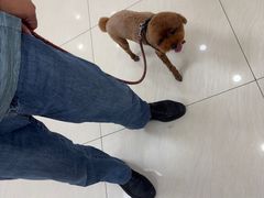 -美联众合动物医院·24h京西诊疗中心
