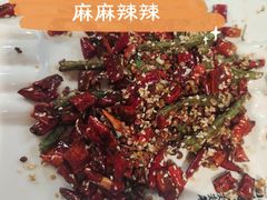 干煸四季豆-清真伊源饺子馆(陶然共友大厦店)