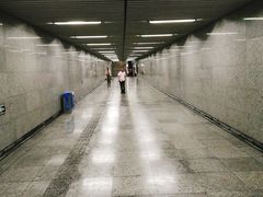 -杨高南路(地铁站)