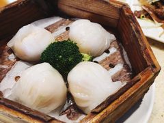 虾饺-明腾壹间茶餐厅(新都会花园广场店)