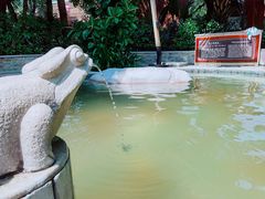 -碧水湾温泉