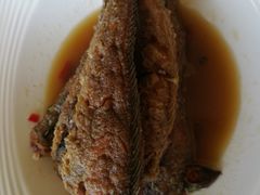-港畔赶海蒸汽海鲜烧烤自助(仙螺岛店)