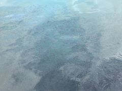 -蓝湾碧波·老字号·疍家非遗海上餐厅
