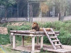 -石家庄市动物园