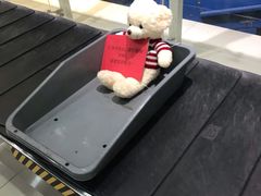-丽江三义国际机场
