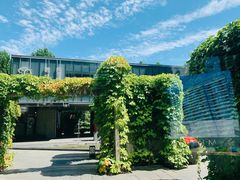 -蔓兰家的四季S0餐厅·融合菜(当代MOMA店)