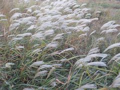 景点-青岛银沙滩
