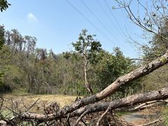 -青龙山国家森林公园