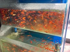 -岳各庄批发市场(西四环中路店)