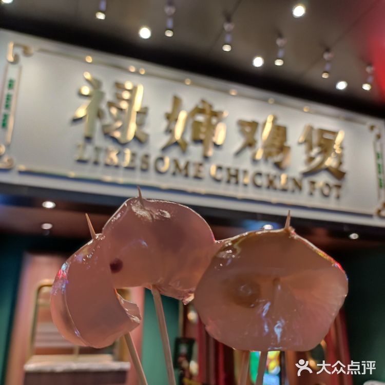 各种鸡煲｜鸡煲yyds