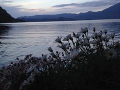 -泸沽湖里格半岛