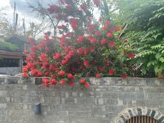 -三圣花乡旅游区