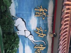 -吴桥杂技大世界