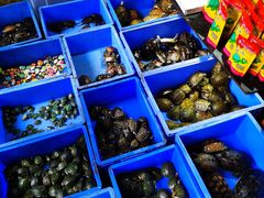 -桂林市花鸟市场