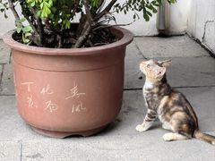 -西园戒幢律寺