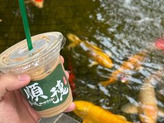 -周大娘牛乳(旧寨古村总店)
