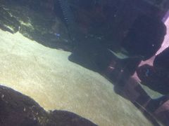 -厦门海底世界