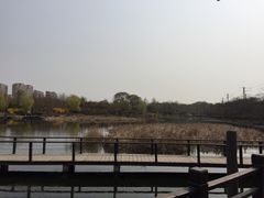 -前关湿地公园