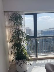 -HEYAN荷妍专业脱毛连锁机构