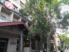 -锦江之星品尚(杭州西湖大道南宋御街店)