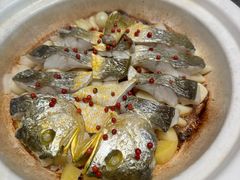 -新光酒家·河豚·海鲜·蟹料理(浦东店)