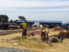 -尼甘布海鲜市场