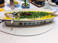 -龙吟九品(青龙山庄店)
